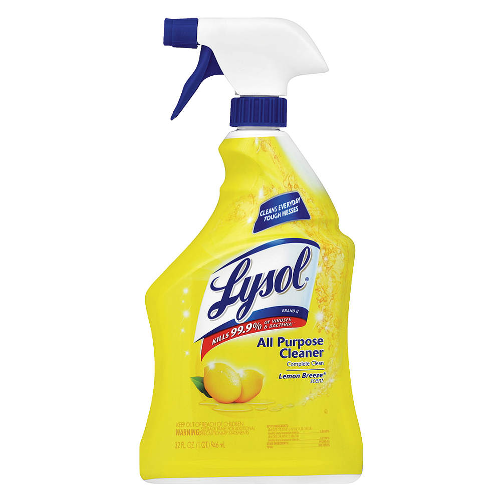 485.18.2006 Lysol All Purpose Cleaner (Max Qty 2)